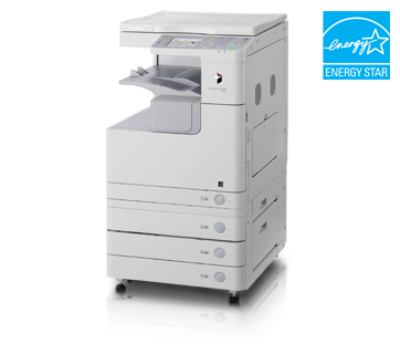 Daisy on the Ohoopee